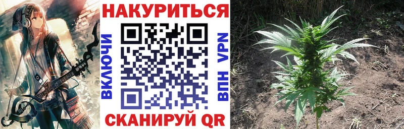 Бошки марихуана ГИДРОПОН  магазин продажи   Новоаннинский 